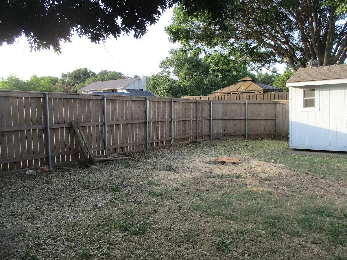 Cleared yard after professional tree removal in Old Harbor