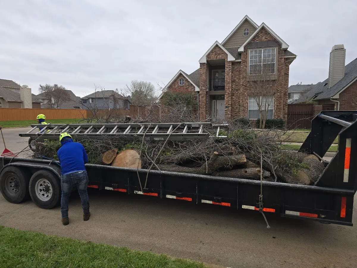 Expert Tree Removal with proper safety equipment in Old Harbor